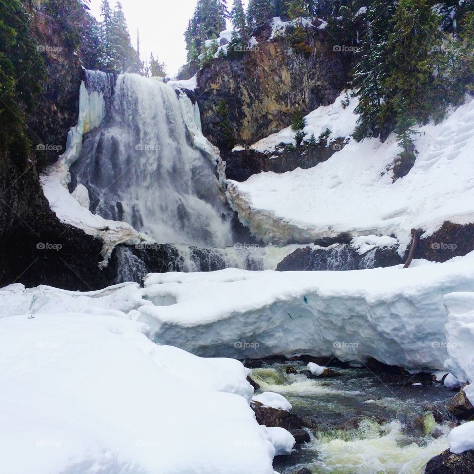 A glorious snowshoe day to see Alexander Falls. 