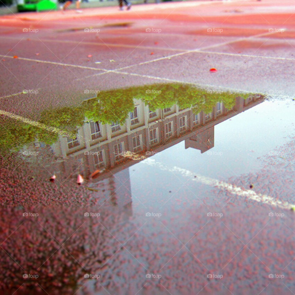 Building reflected in puddle