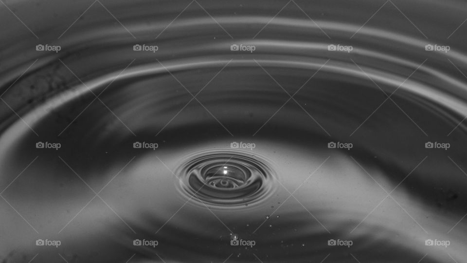 beautiful macro shot 