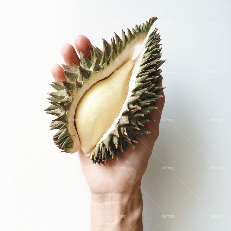 Studio shot of durian fruit on white background