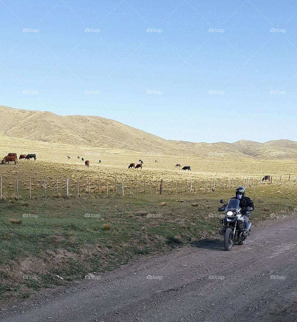 circulando por la pradera