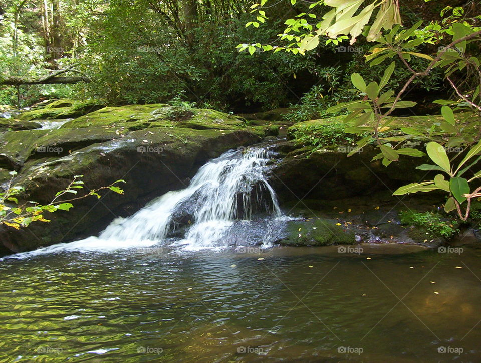 Darnell Creek Falls
