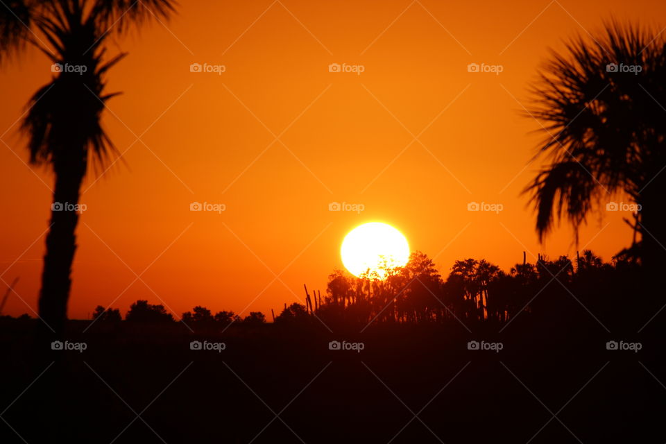 sunset. January 2915 Florida  Jenkins park 