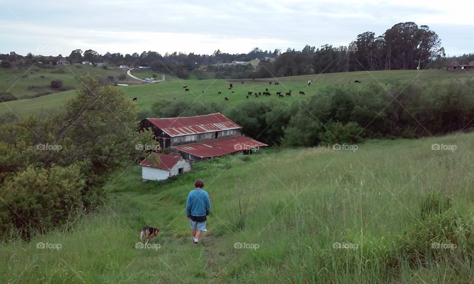 a boy at the barn. old abandoned barn and a boy with his dog