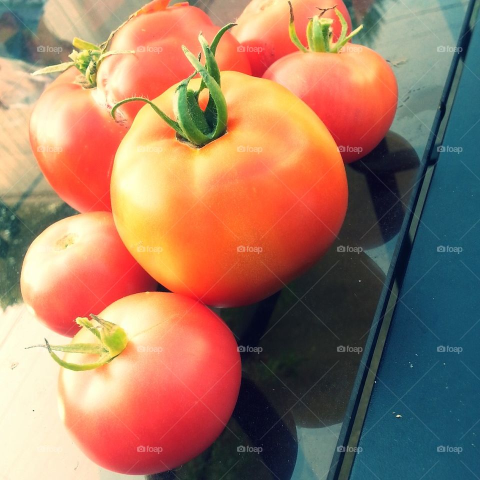 home grown tomatoes