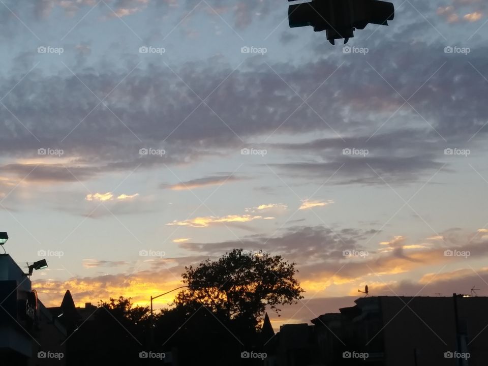 dusk sundown sunset tree tops