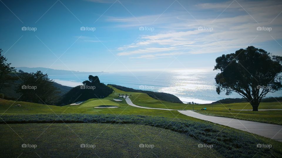 Torrey Pines north course