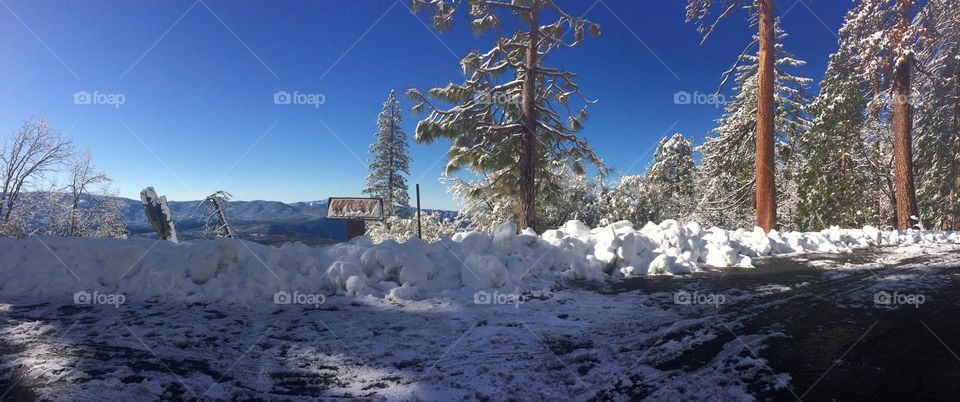 Landscape full of snow during winter