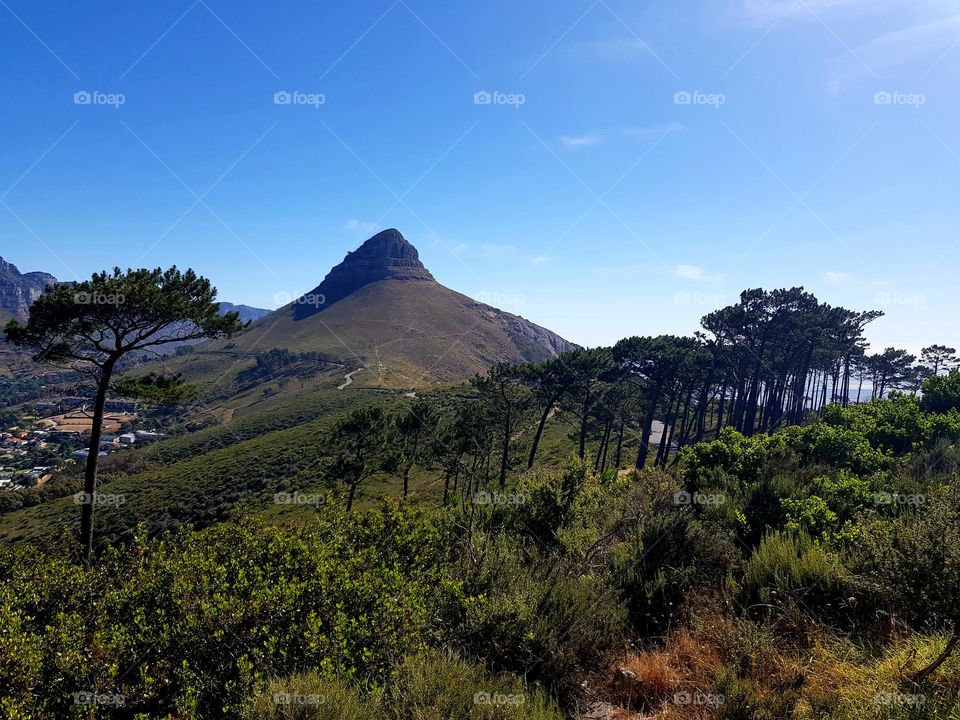 Devil's Peak and Signal Hill