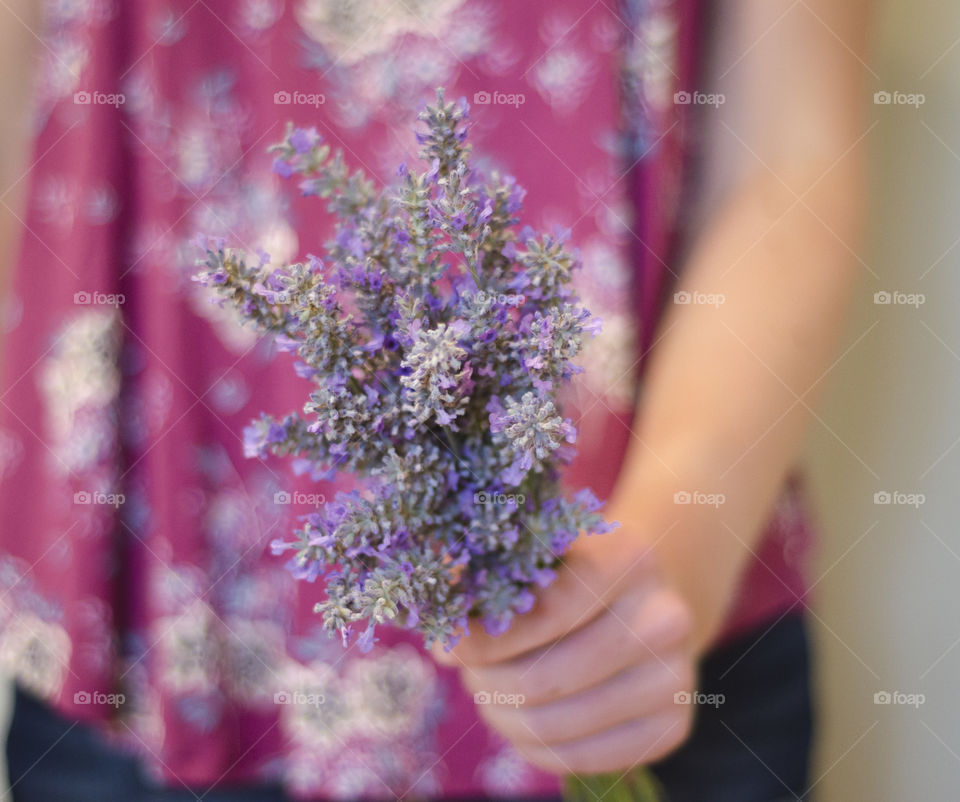 Bushels of summer lavender 