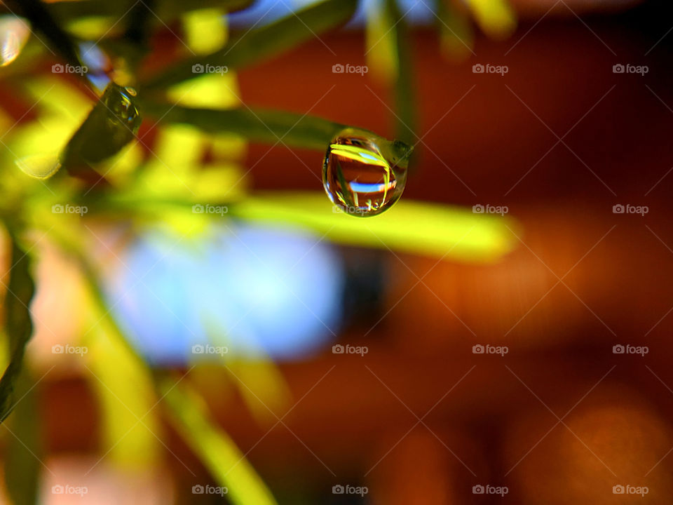 Water drop Macro