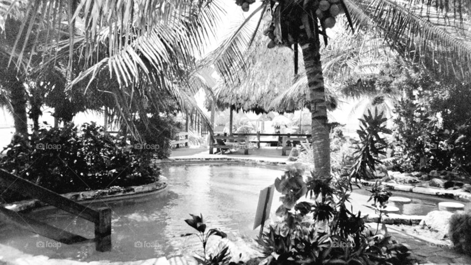 Beautiful pool in Belize