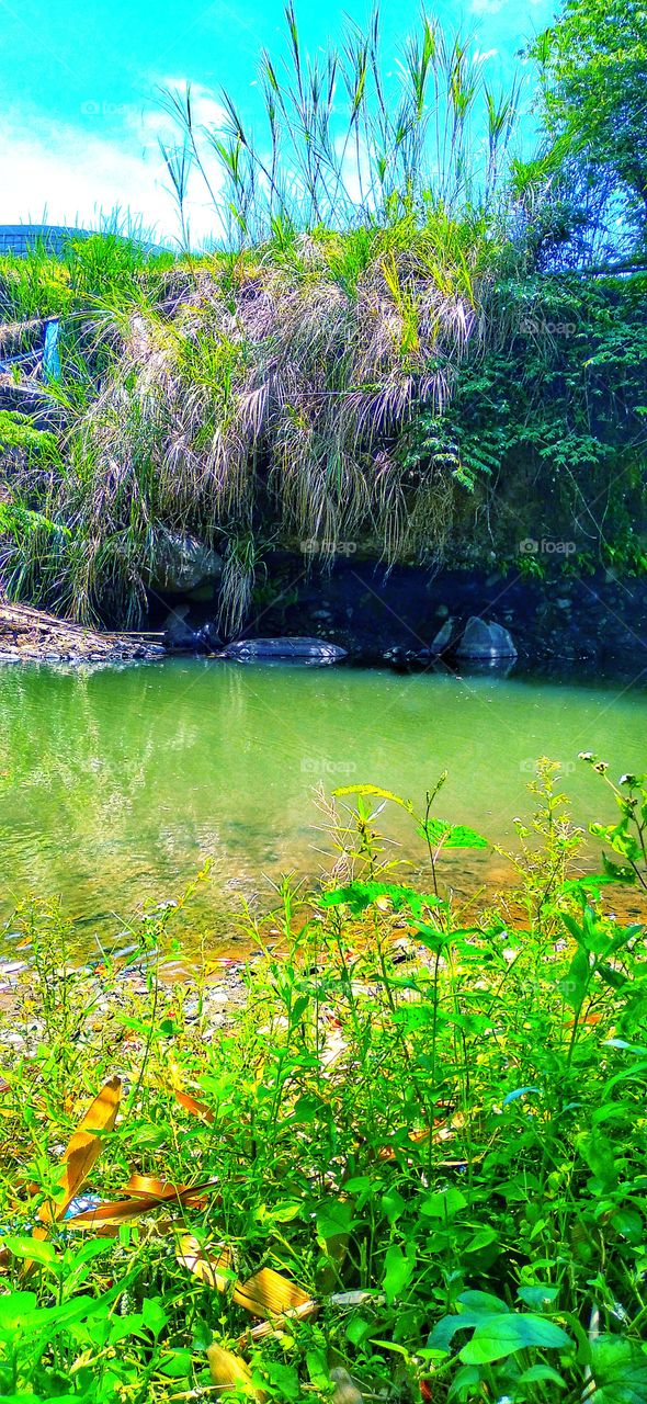 Rabbana wa laka al-hamdu Hamdan Katsīran Thayyiban Mubārakan Fīhi 