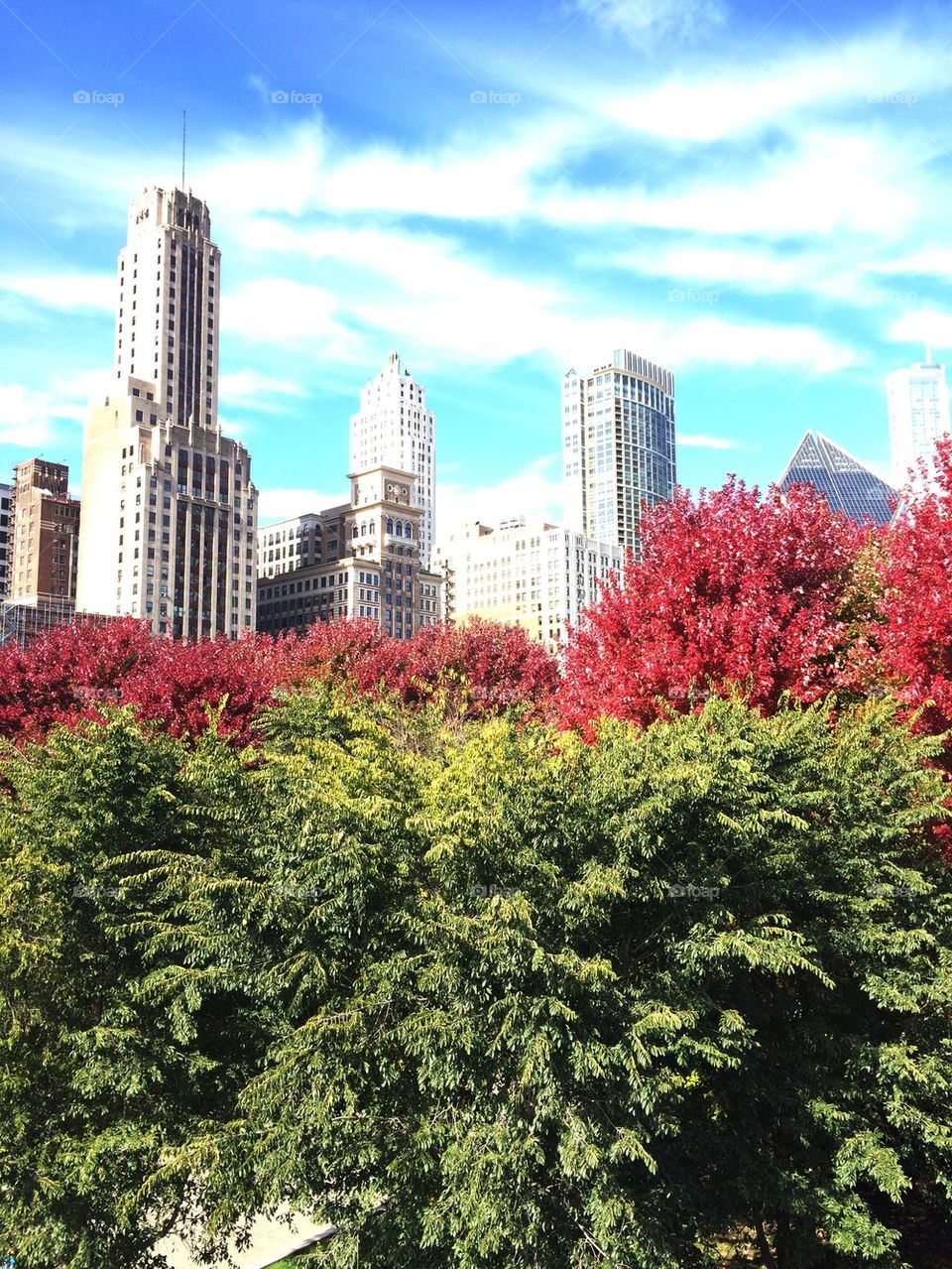 Chicago fall
