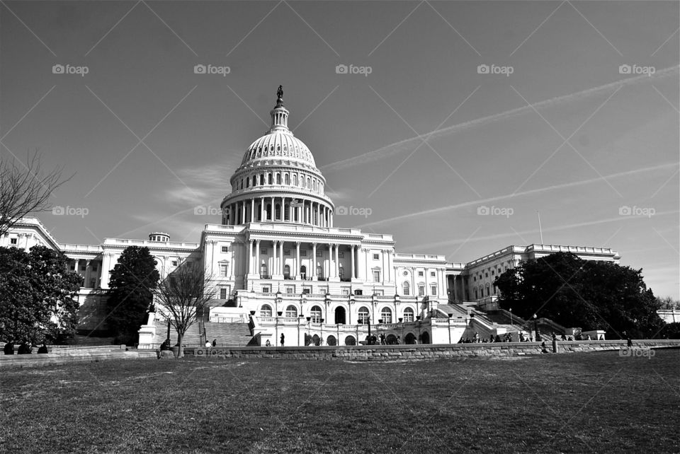 US Capitol. Washington DC