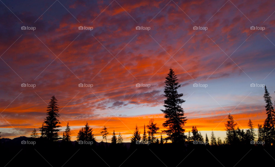 colorful sunset. rocky mountains. colors. pretty. sunset. trees and sunset. montana usa by arizphotog