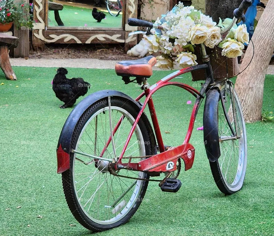 bicycle