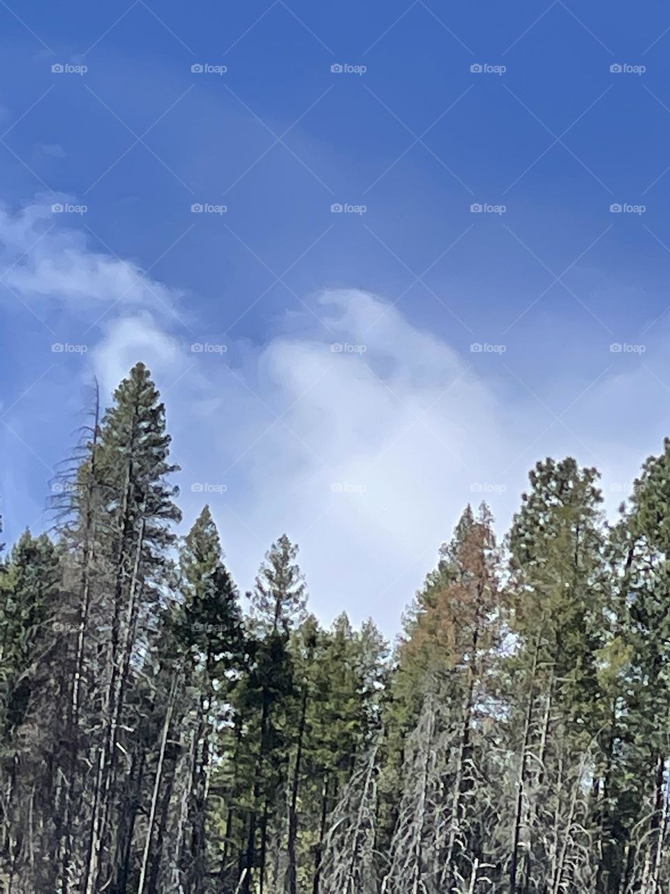 Remember where we coming from!!