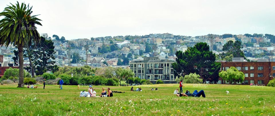 people having a picnic, at Fort Mason, San Francisco, city view