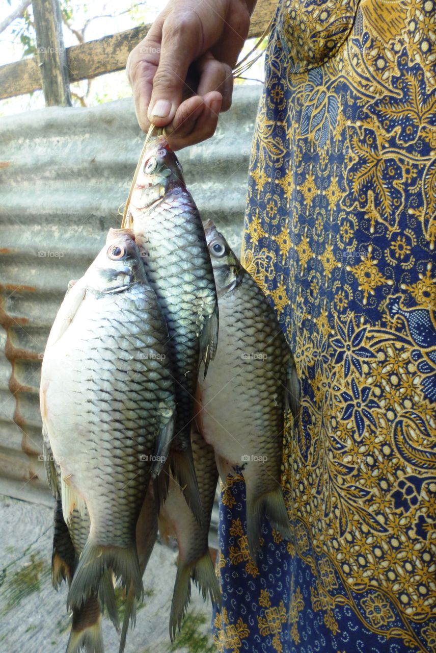 old woman bring fresh fishes