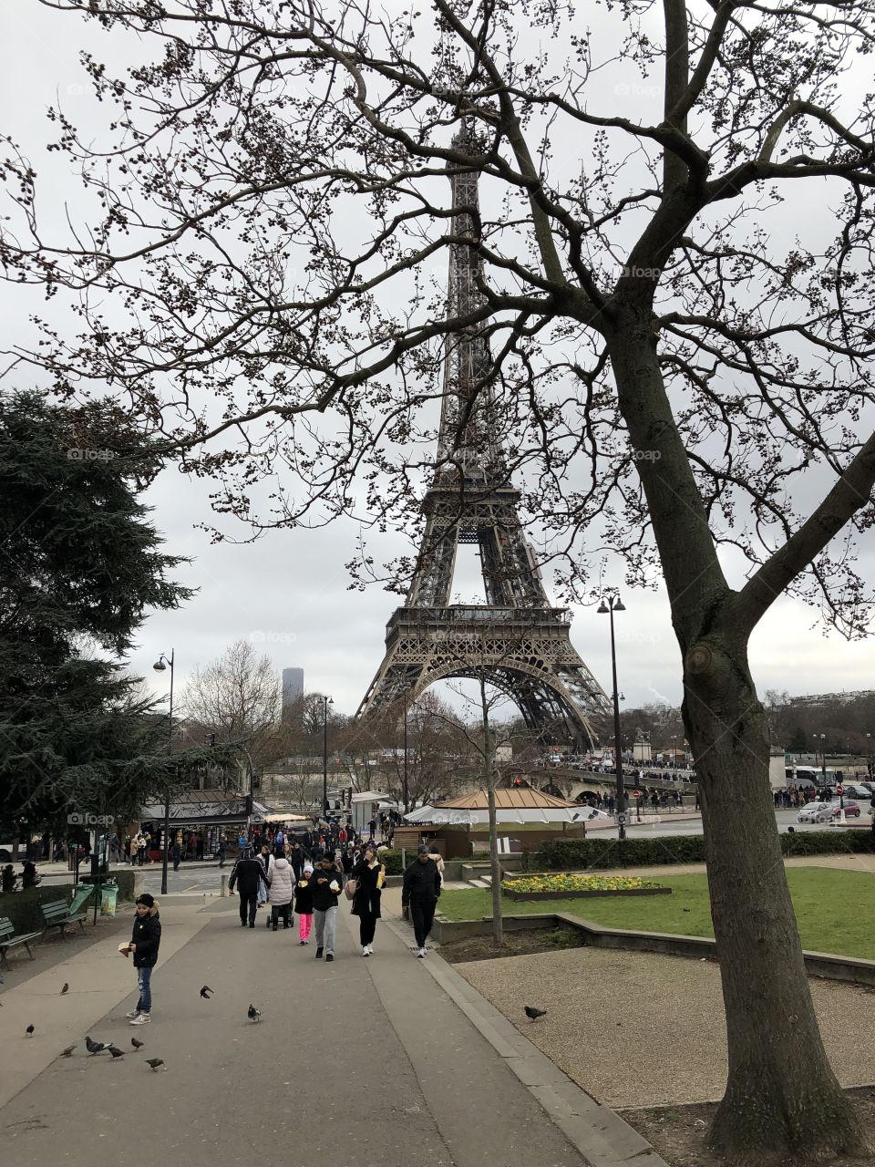 Eiffel Tower 