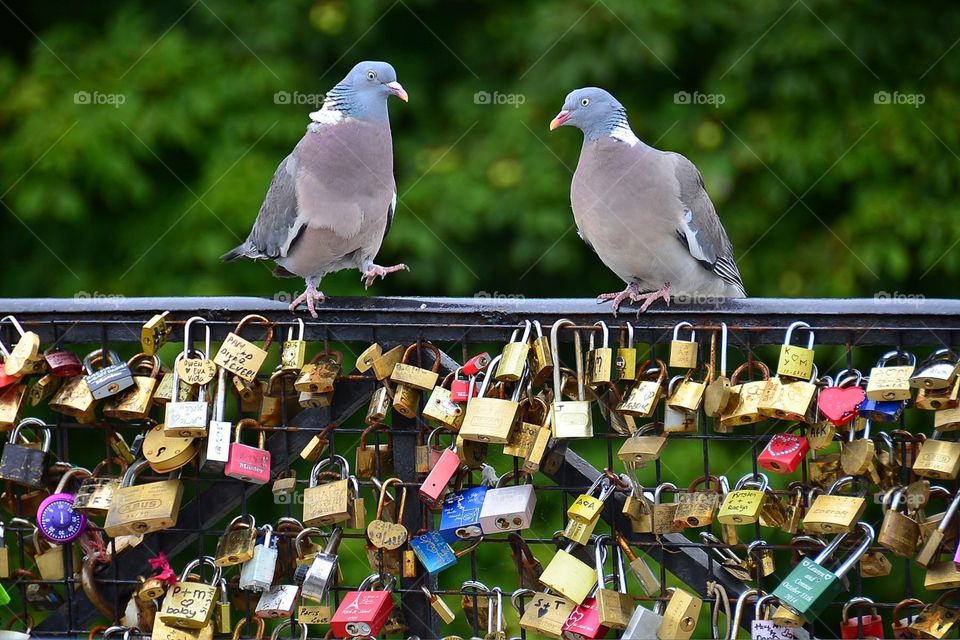 Locked your heart with someone ♥️
