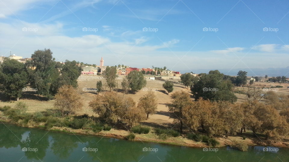 River and trees