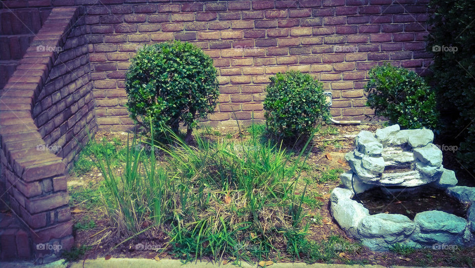 Bricks and greenery 2