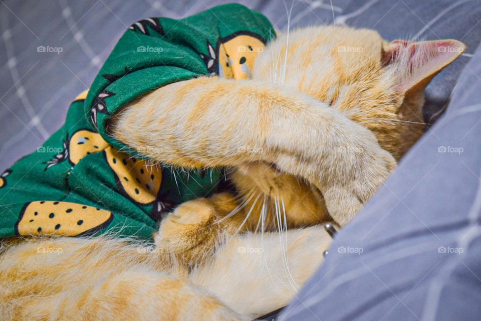 Don't take pictures and sleep