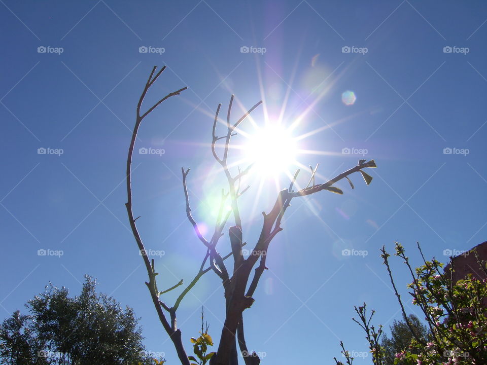 Sun