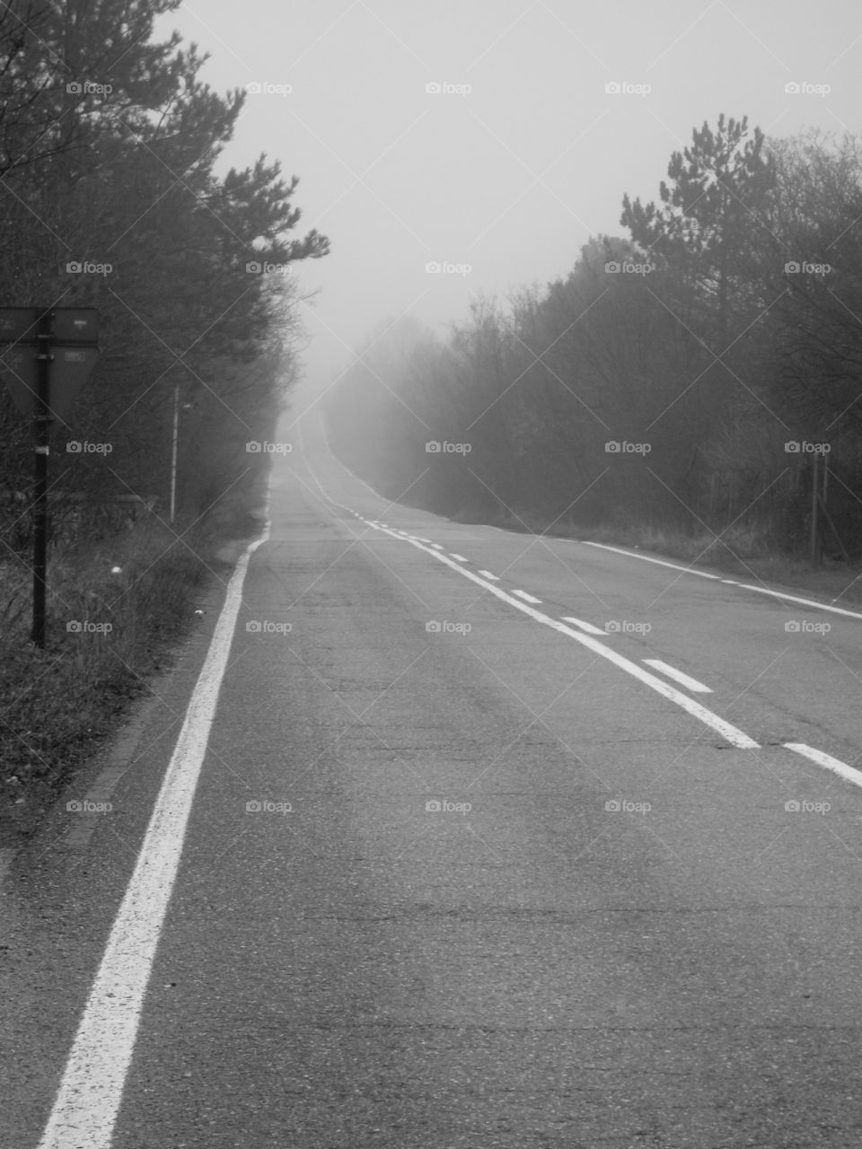 road autumn fog black and white by uolza