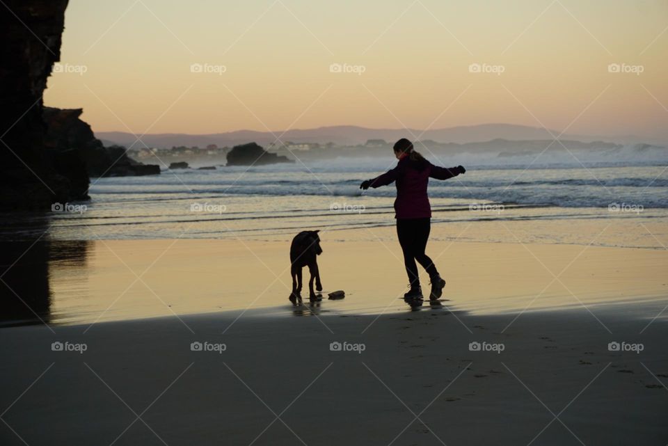 Beach#ocean#human#dog