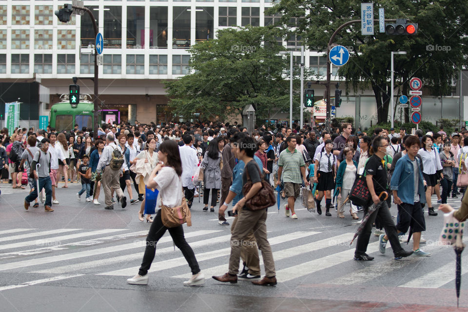 Shibuya road