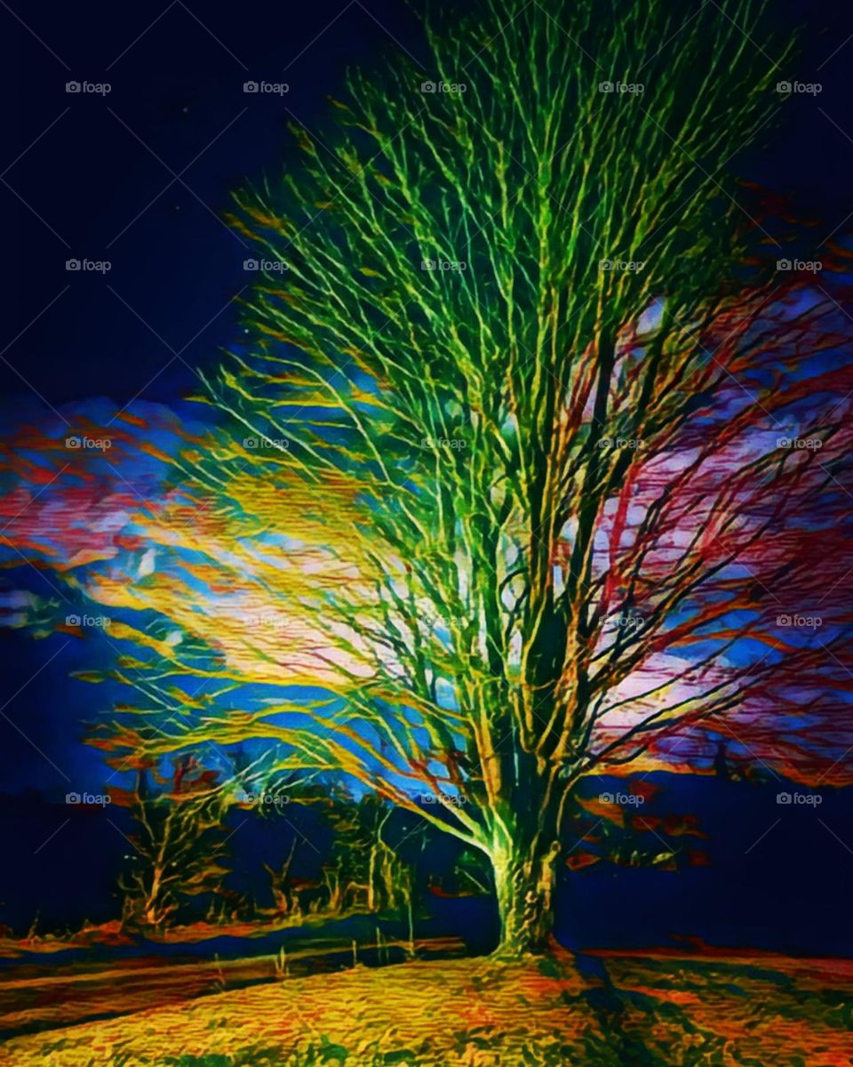 maple tree at night back-lit by clouds