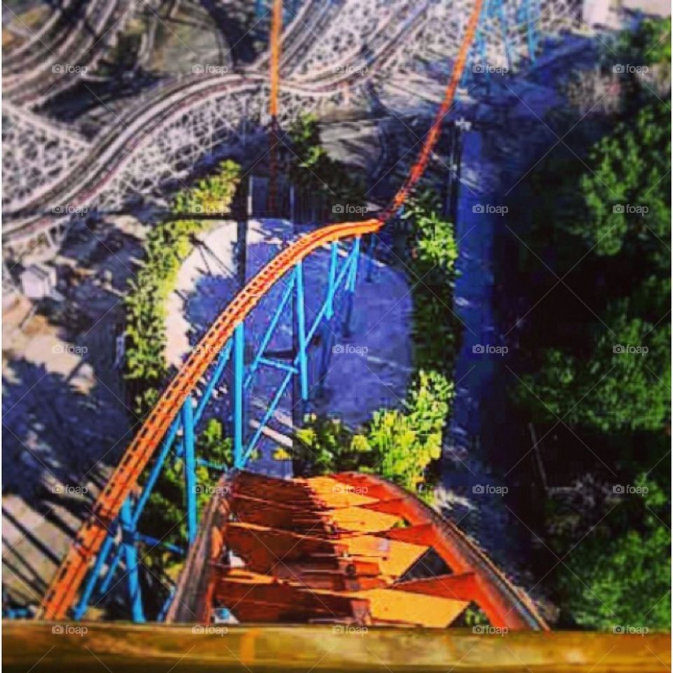 Roller coaster view 