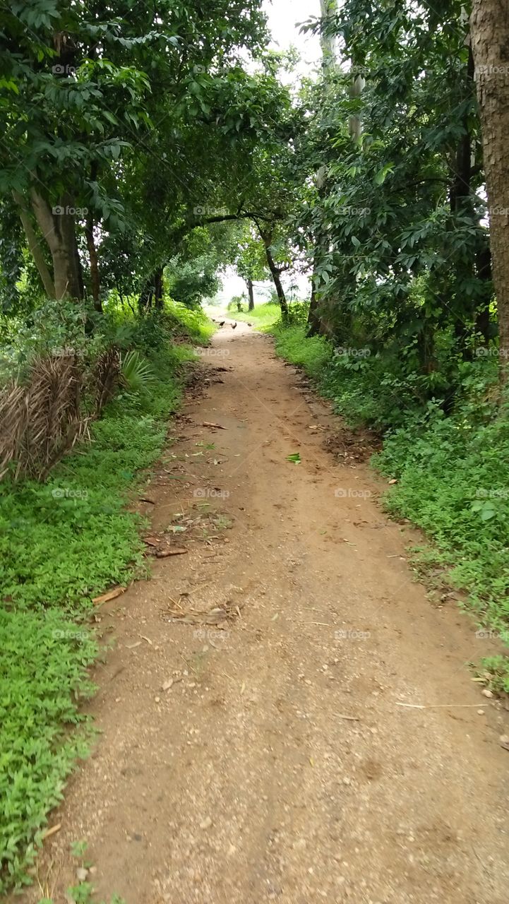 village road