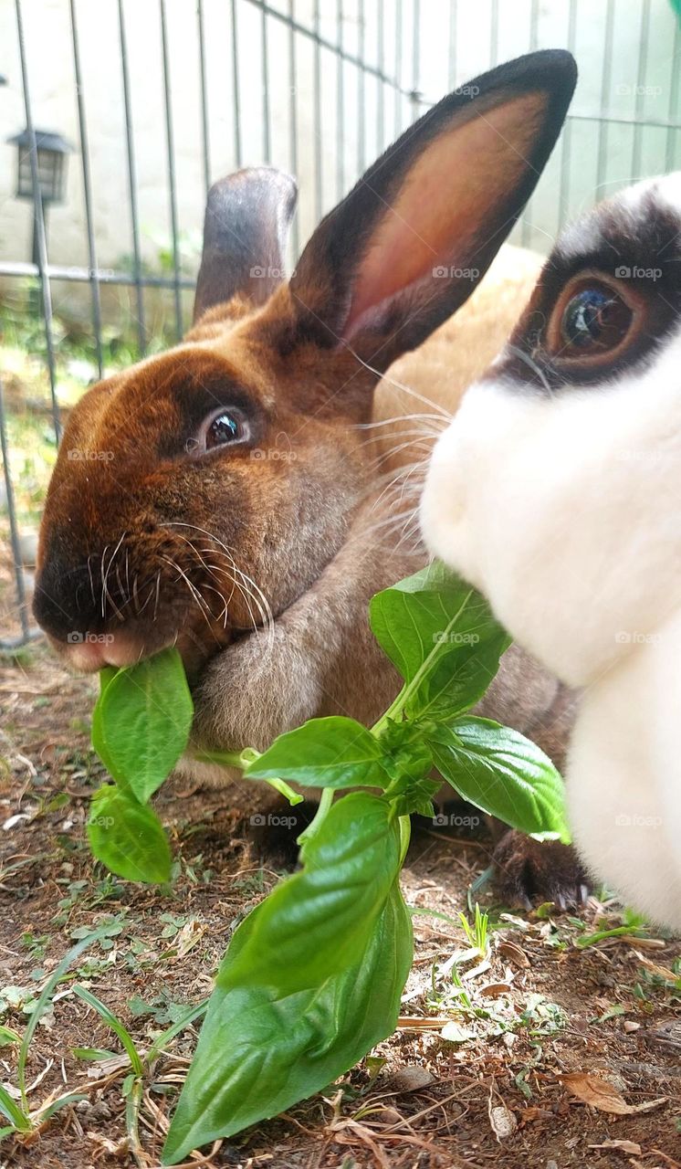 We just want to take a Bite.