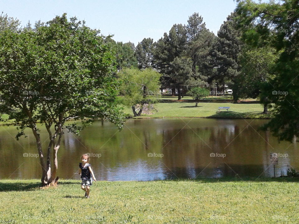 Tree, Landscape, Grass, Park, Nature