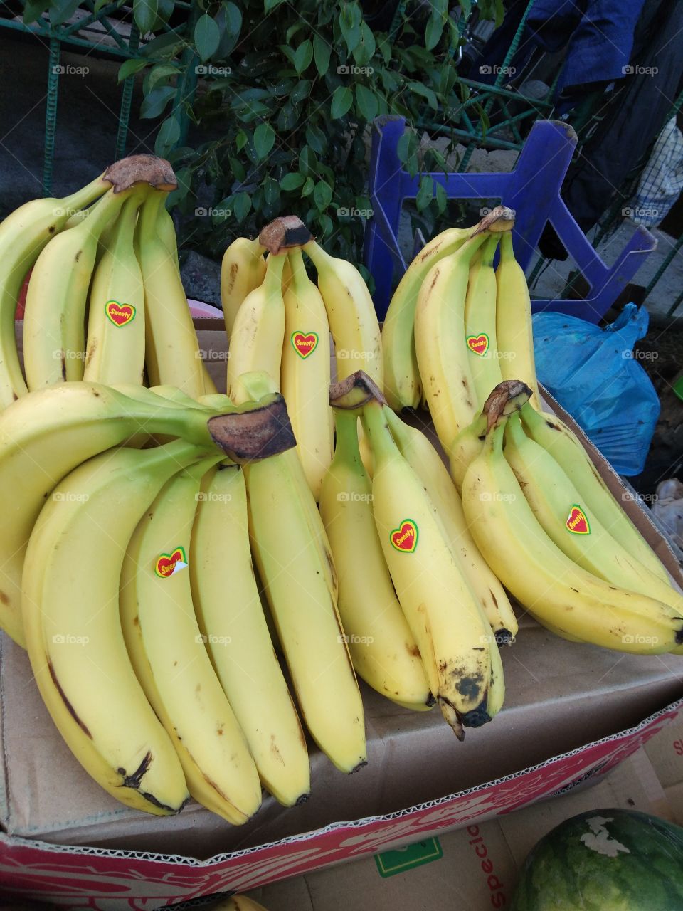 pisang label