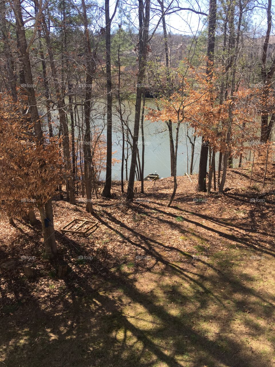 The lake beyond the trees. 