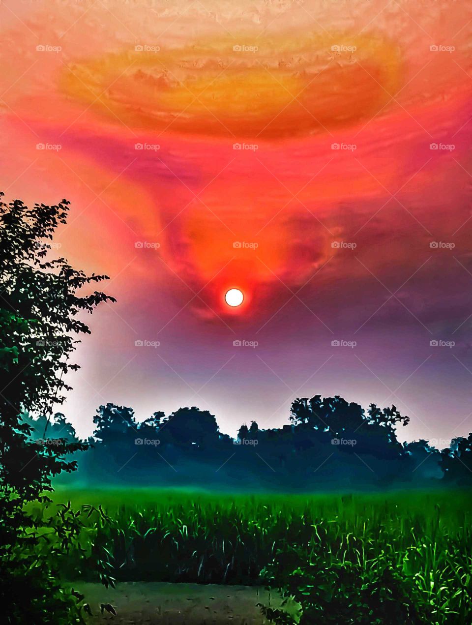 Beautiful sunset time nice looking image india