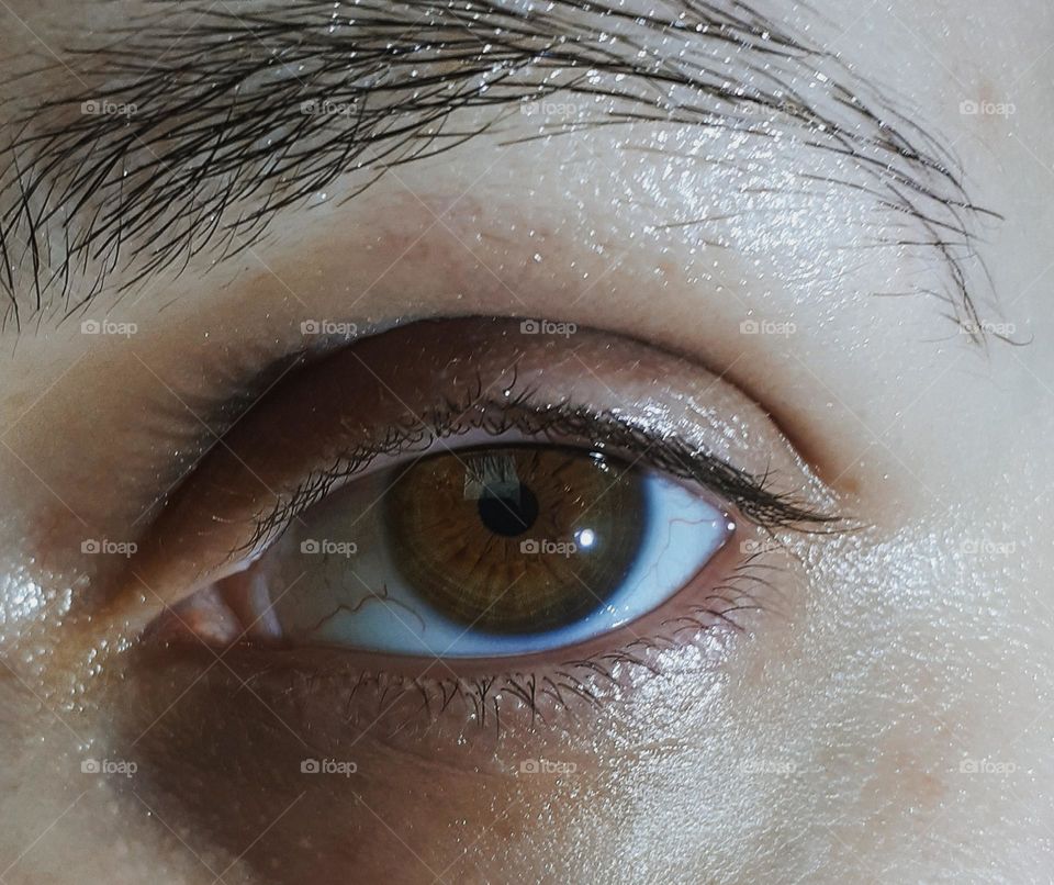 Macro photo of brown eye