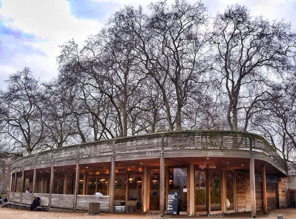 wood london trees restaurant by yeadon