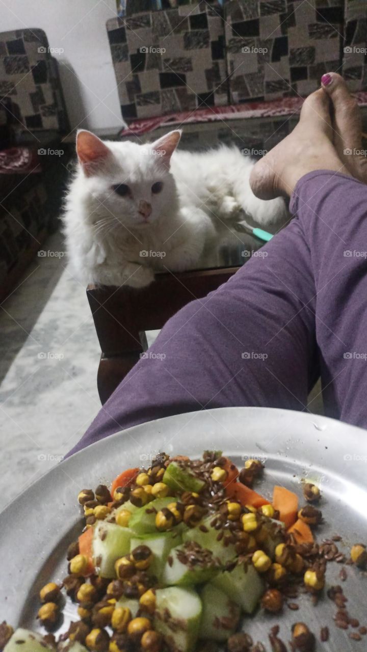give me dinner