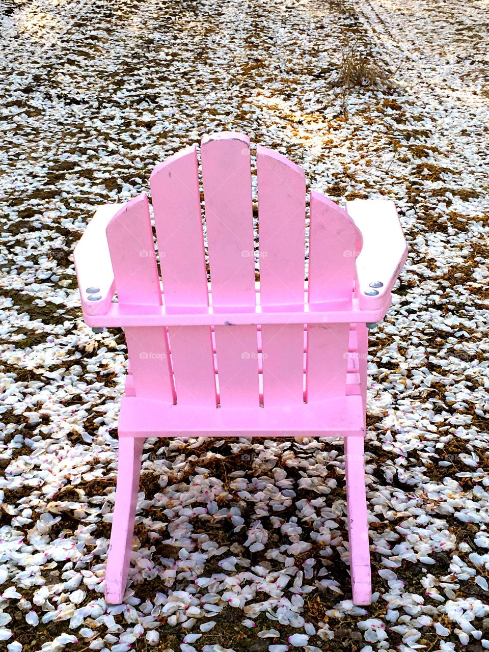 pink chair