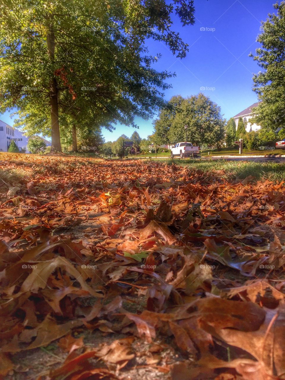 Beautiful day in the neighborhood 