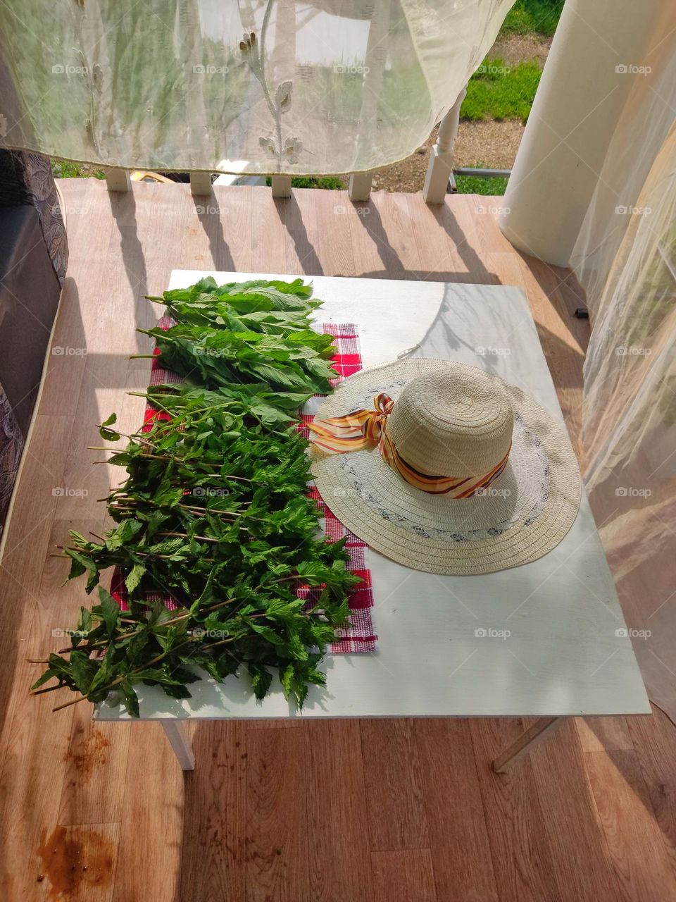 mint is dried on a table on the balcony. next to my mother's hat