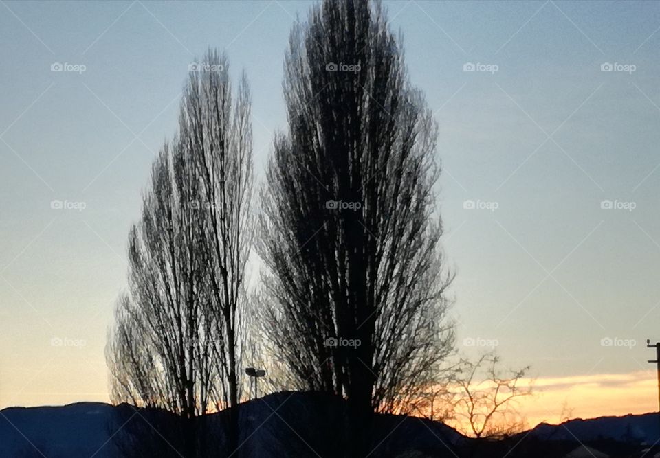 Sunset today, in Rieti. Poplars