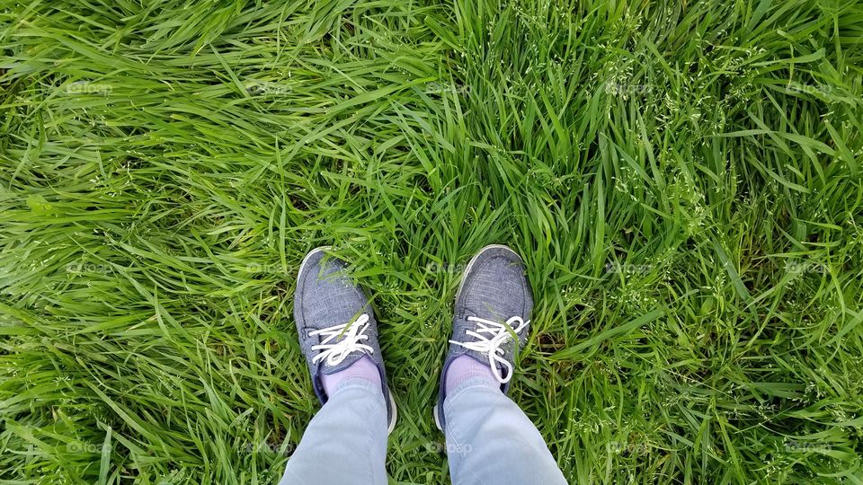 Walking on the grass