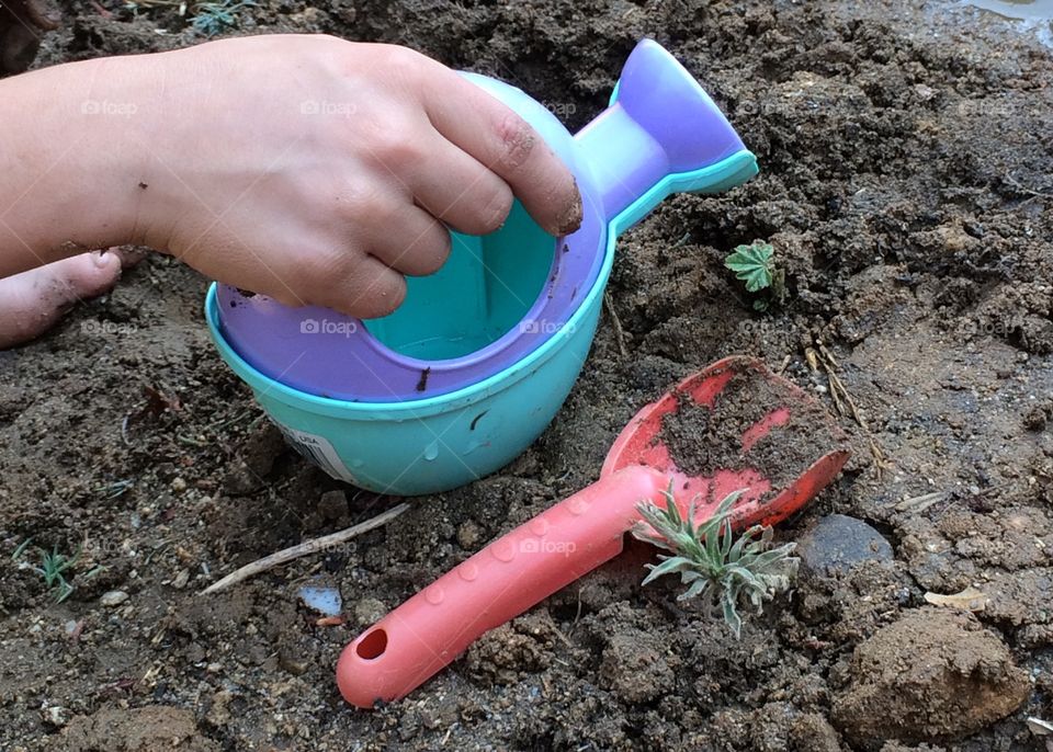 A child's garden